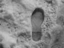 SNOW, FOOTPRINT (GRAY)