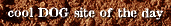 cool site