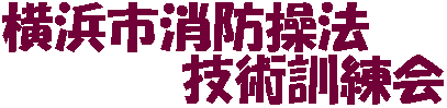 ���l�s���h���@�Z�p�P����