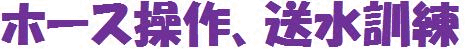 �z�[�X����A�����P��