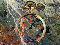 time_is_money_icon.JPG