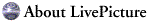 About LivePicture