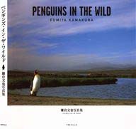 PENGUIS IN THE WILD