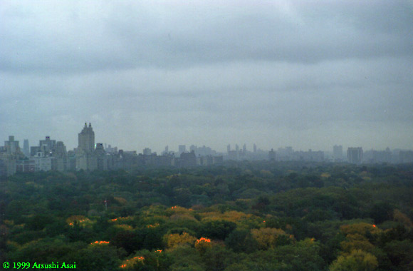 NY89C201
