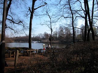 井の頭公園