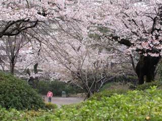 哲学堂公園