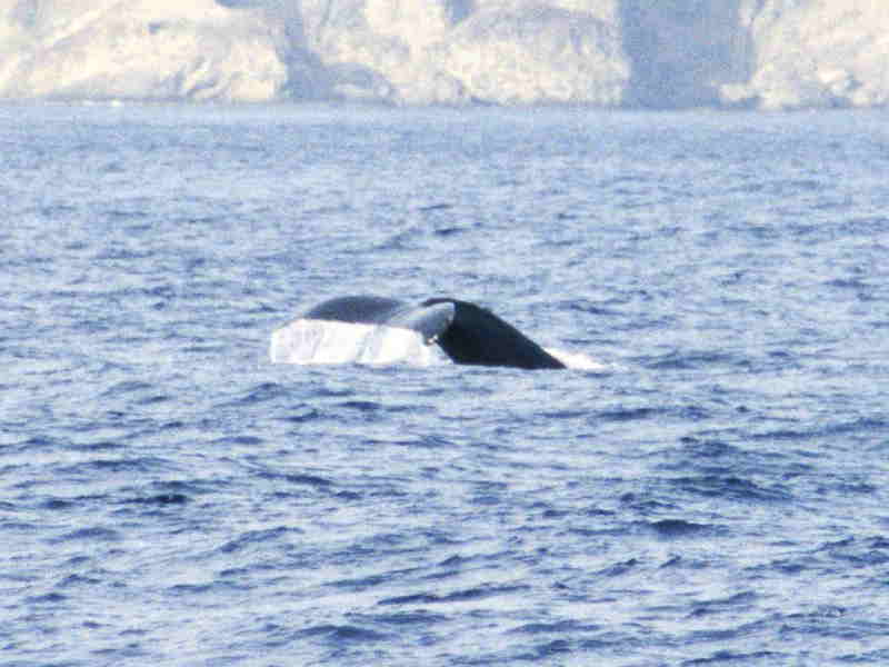 w00001.jpg