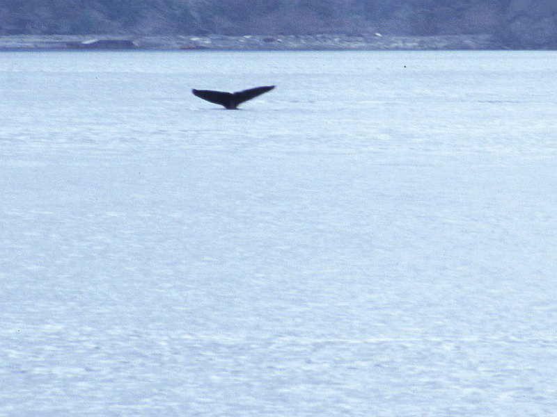 w00002.jpg