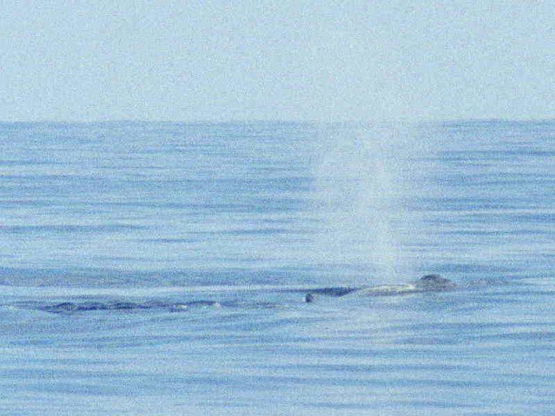 w00006.jpg
