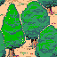 Forest.gif