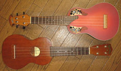 The Two Ukuleles