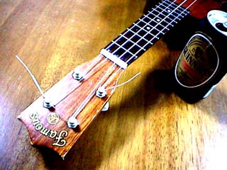 The Famous Ukulele and GUINNESS Beer