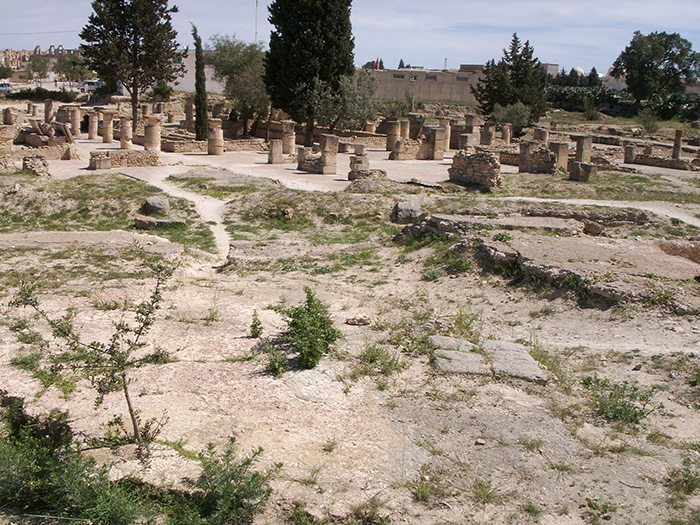 発掘調査中のローマ遺跡