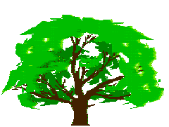 Tree image