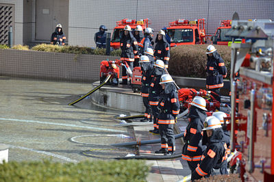 �e���c�̐��s