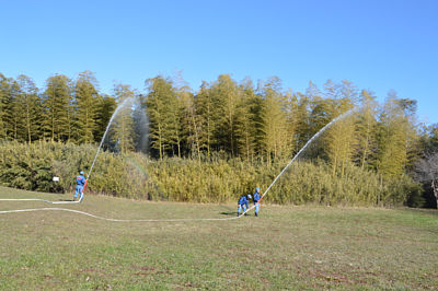 ���h�c�̕���