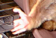 oW̑̎ʐ^
