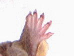 Basil's hand
