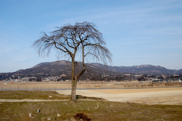 ���̌䏊�Q�O�O�R�N�R���Q�P��