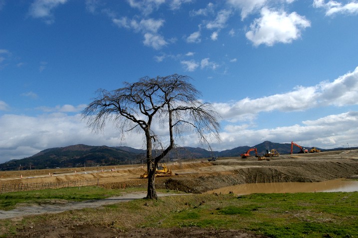 ���̌䏊�Q�O�O�R�N�P�P���Q�R��