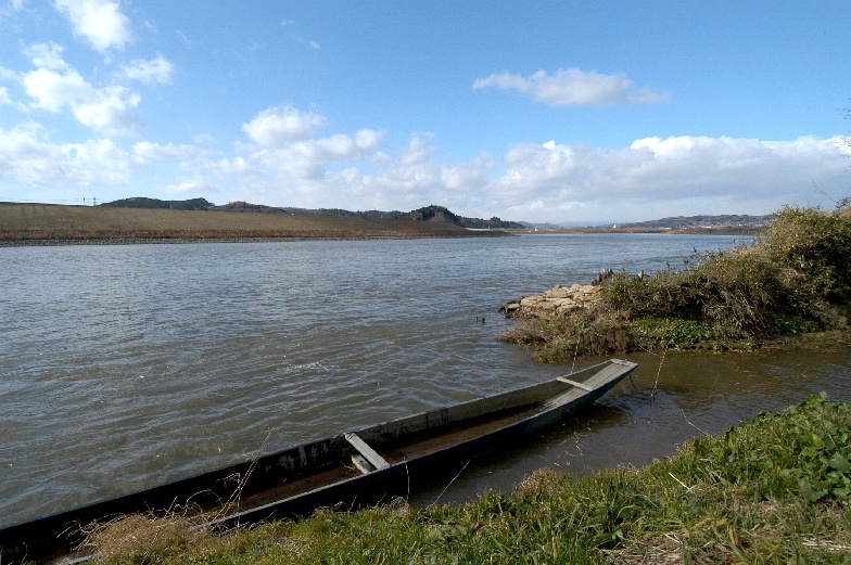 ���̌䏊�ƍ��ق̑Ί݂��畽��o�C�p�X�̐���y������