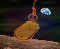 silence_time_icon.JPG