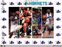 HORNETS