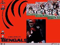 BENGALS