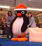 pingu